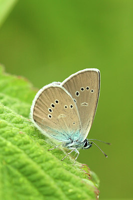 BUITEN BEELD Foto: 84086