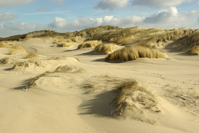 BUITEN BEELD Foto: 84091