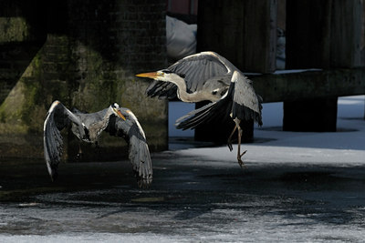 BUITEN BEELD Foto: 84125