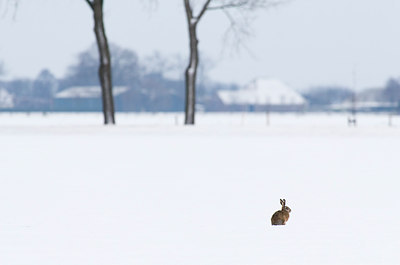 BUITEN BEELD Foto: 84258
