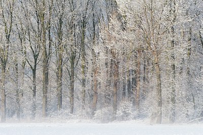 BUITEN BEELD Foto: 84262