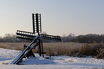 BUITEN BEELD Foto: 84276