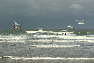 BUITEN BEELD Foto: 84278