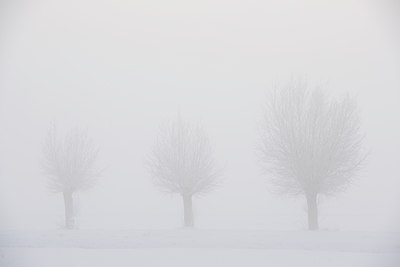 BUITEN BEELD Foto: 84292