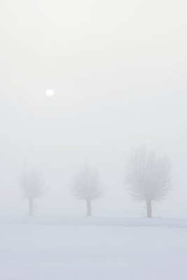 BUITEN BEELD Foto: 84293