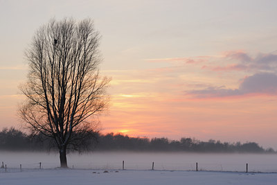 BUITEN BEELD Foto: 84300