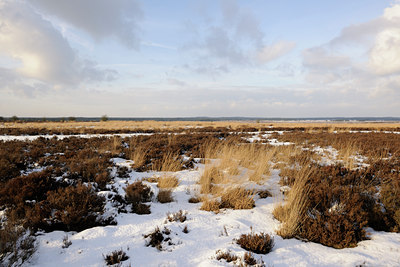 BUITEN BEELD Foto: 84308