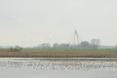 BUITEN BEELD Foto: 84342