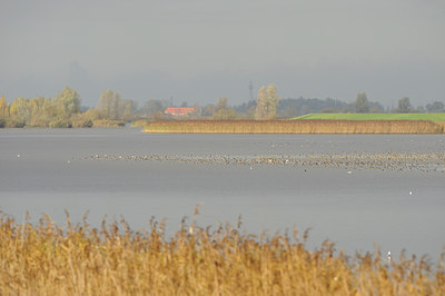BUITEN BEELD Foto: 84343