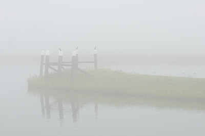BUITEN BEELD Foto: 84347