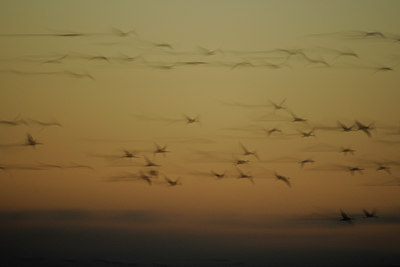 BUITEN BEELD Foto: 84356