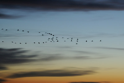 BUITEN BEELD Foto: 84359