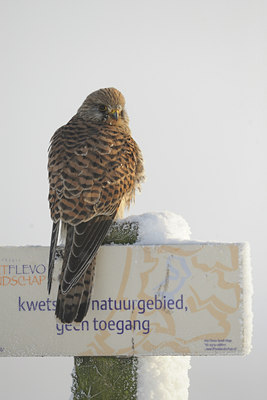 BUITEN BEELD Foto: 84386