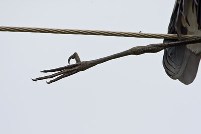 BUITEN BEELD Foto: 84451