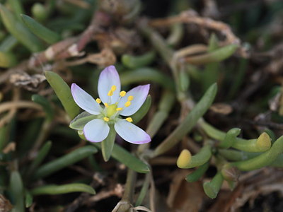 BUITEN BEELD Foto: 84605