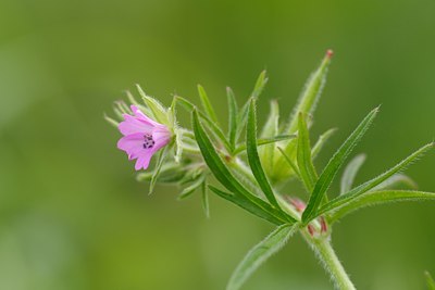 BUITEN BEELD Foto: 84606