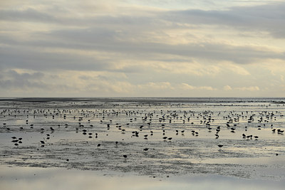 BUITEN BEELD Foto: 84630
