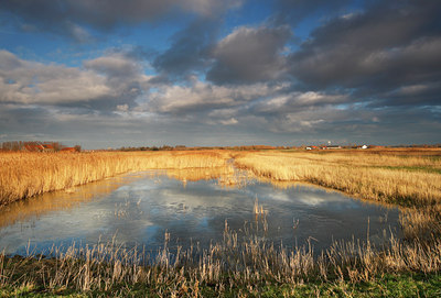 BUITEN BEELD Foto: 84634