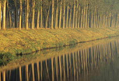 BUITEN BEELD Foto: 84648