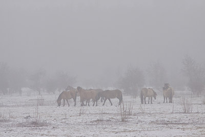 BUITEN BEELD Foto: 84656