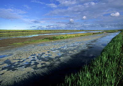 BUITEN BEELD Foto: 84658