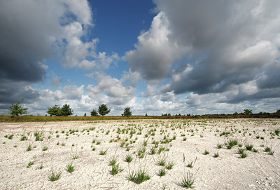 BUITEN BEELD Foto: 84667