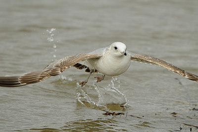 BUITEN BEELD Foto: 84684