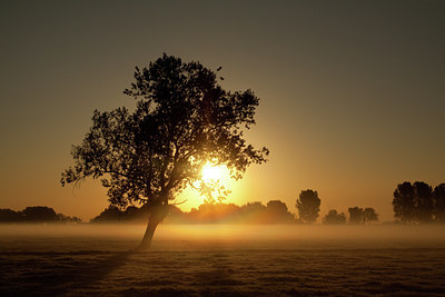 BUITEN BEELD Foto: 84766