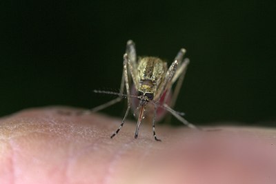 BUITEN BEELD Foto: 84768