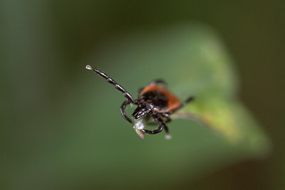 BUITEN BEELD Foto: 84773