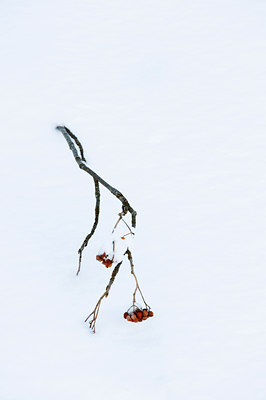 BUITEN BEELD Foto: 84895