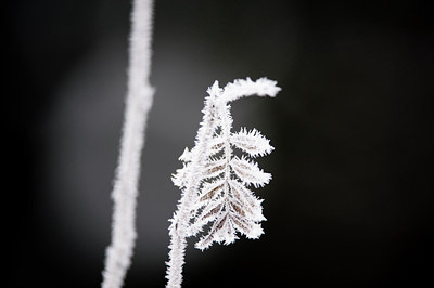 BUITEN BEELD Foto: 84898