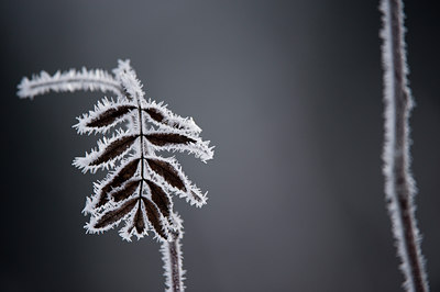 BUITEN BEELD Foto: 84900