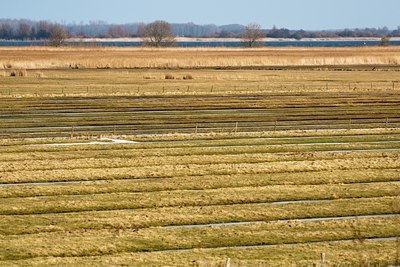 BUITEN BEELD Foto: 84967