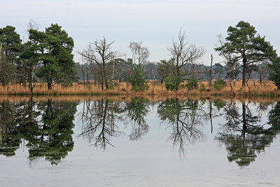 BUITEN BEELD Foto: 85000
