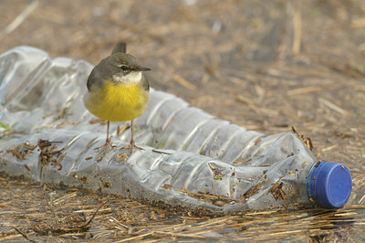 BUITEN BEELD Foto: 85012
