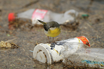 BUITEN BEELD Foto: 85028