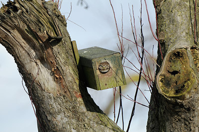 BUITEN BEELD Foto: 85029