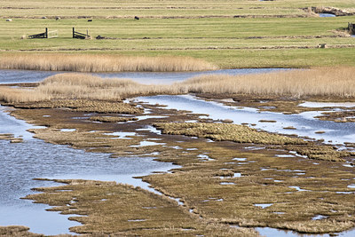 BUITEN BEELD Foto: 85044