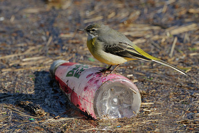 BUITEN BEELD Foto: 85098