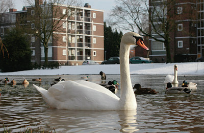 BUITEN BEELD Foto: 85109