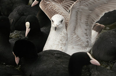 BUITEN BEELD Foto: 85129