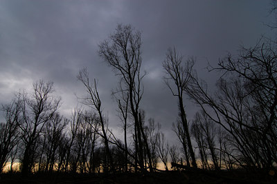 BUITEN BEELD Foto: 85136