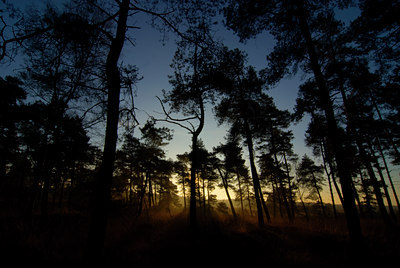 BUITEN BEELD Foto: 85145