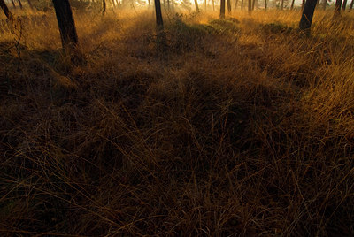 BUITEN BEELD Foto: 85146
