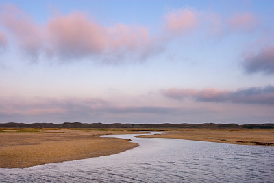 BUITEN BEELD Foto: 85150
