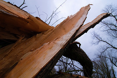 BUITEN BEELD Foto: 85154