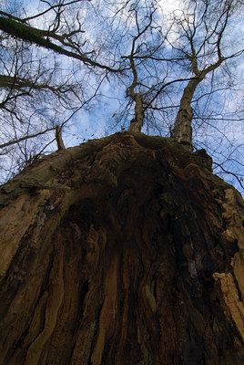 BUITEN BEELD Foto: 85160