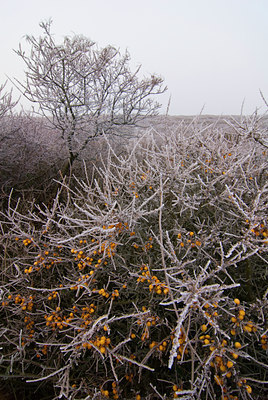BUITEN BEELD Foto: 85165