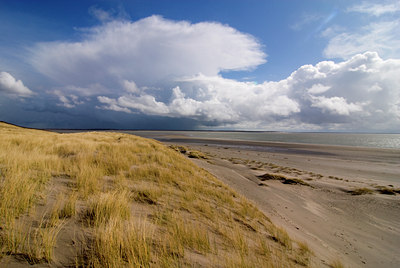 BUITEN BEELD Foto: 85171